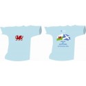 TACC - Wales 2009